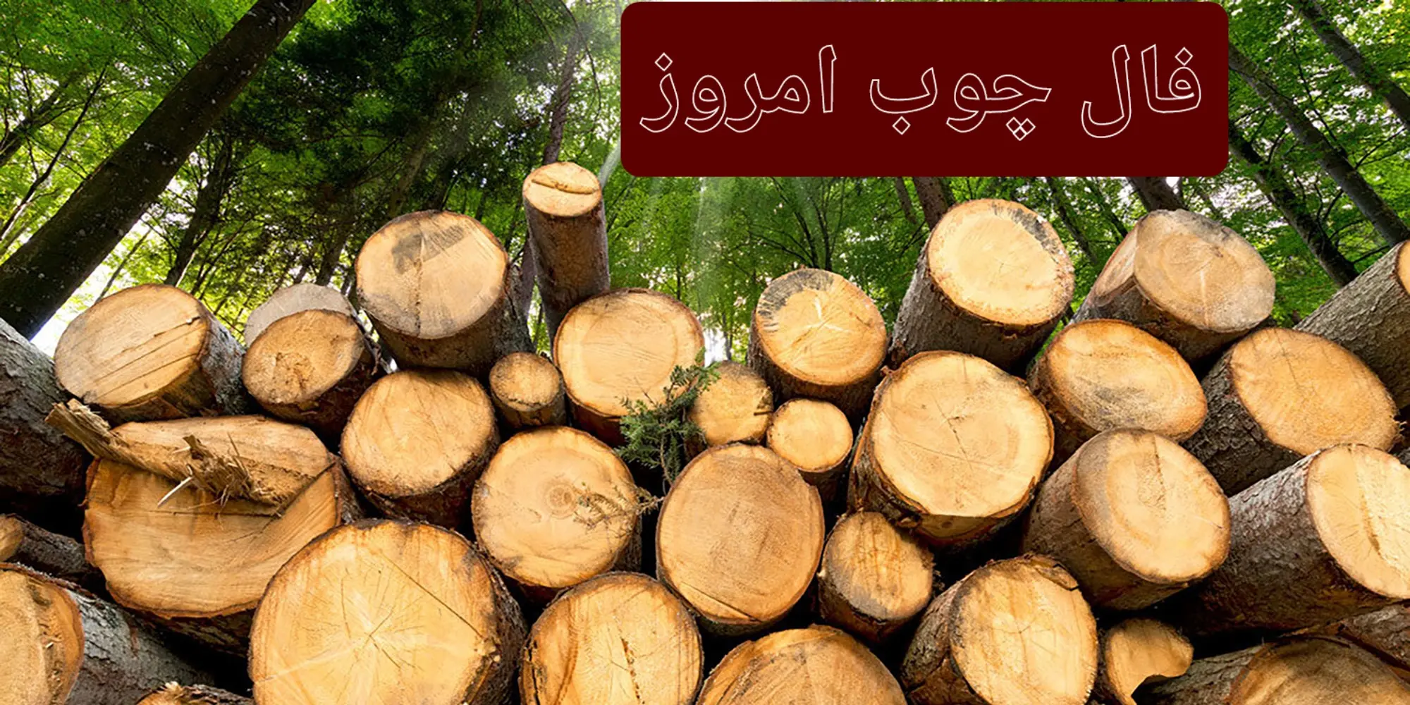 فال چوب