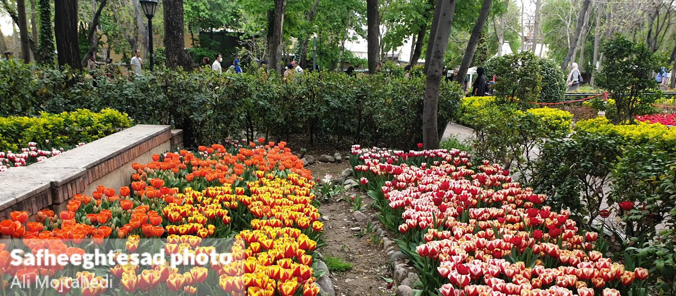 گزارش تصویری جشنواره لاله های بوستان در باغ ایرانی تهران