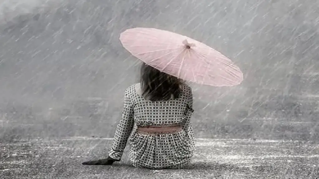 پروفایل چتر و باران3