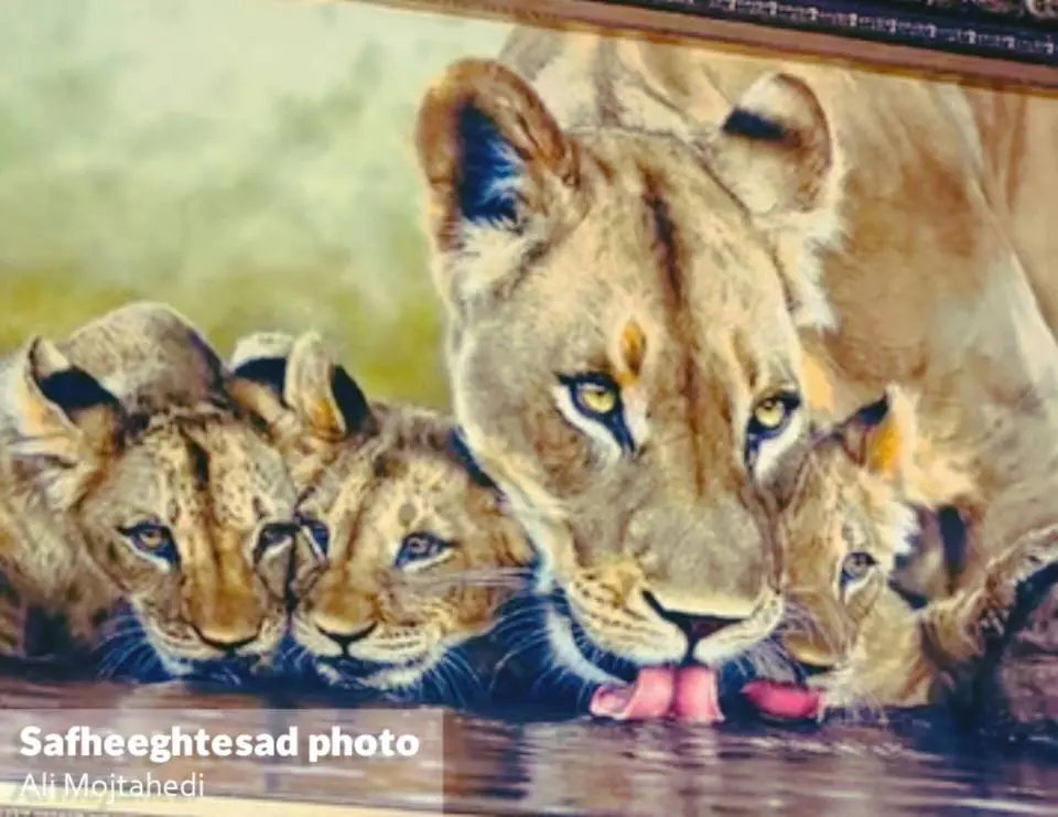 InShot_20260226_160700780