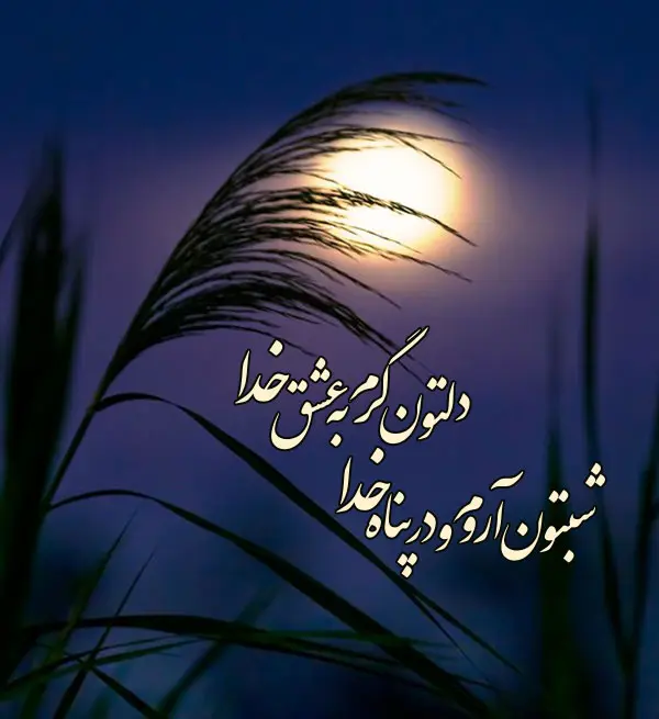 جدیدترین متن شب بخیر دوستانه ، رسمی، رمانتیک همراه با عکس نوشته