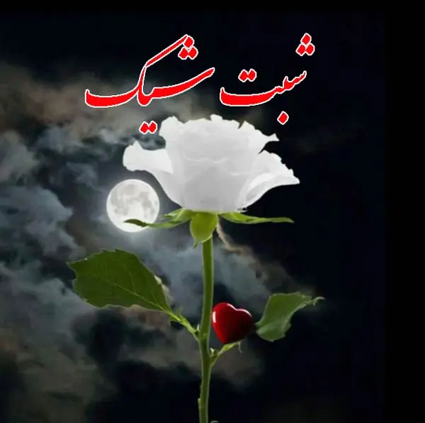 جدیدترین متن شب بخیر دوستانه ، رسمی، رمانتیک همراه با عکس نوشته