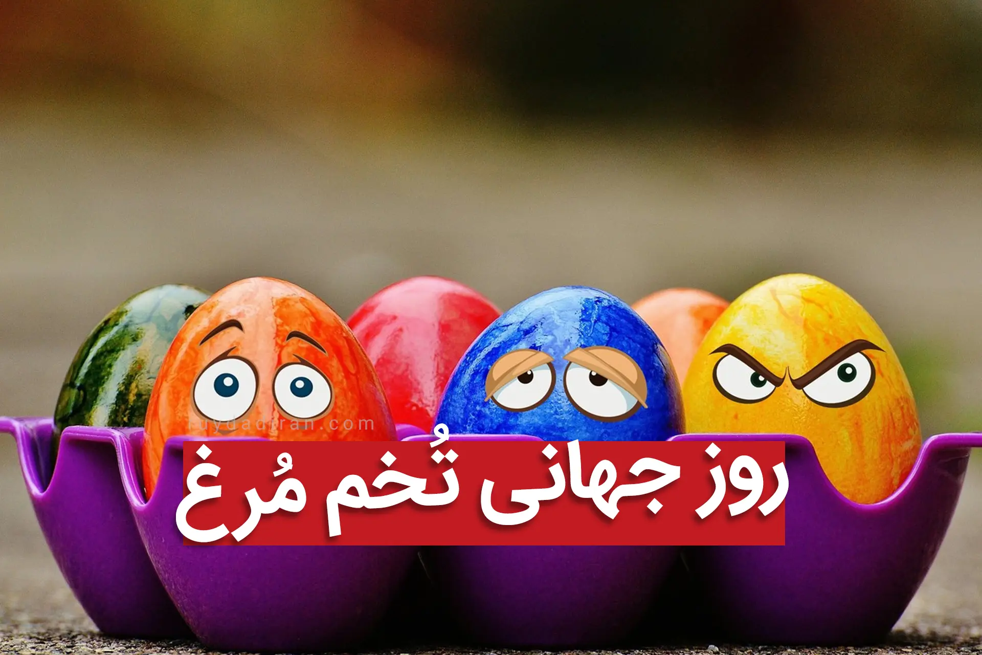 تاریخ روز جهانی تخم مرغ در تقویم ۱۴۰۱ چه روزی است؟