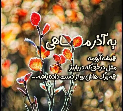 خاص ترین تبریک تولد آذر ماهی ها همراه با عکس نوشته