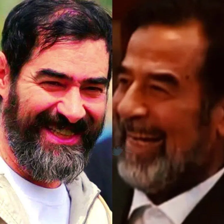 شهاب حسینی در نقش بازیگر