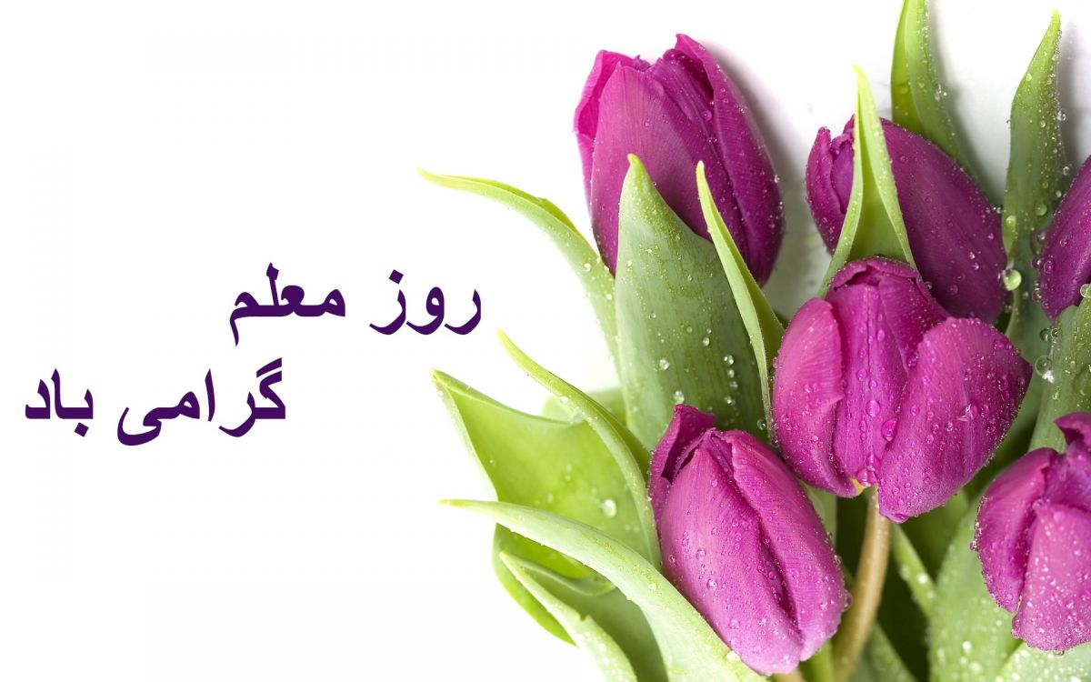 تبریک روز معلم