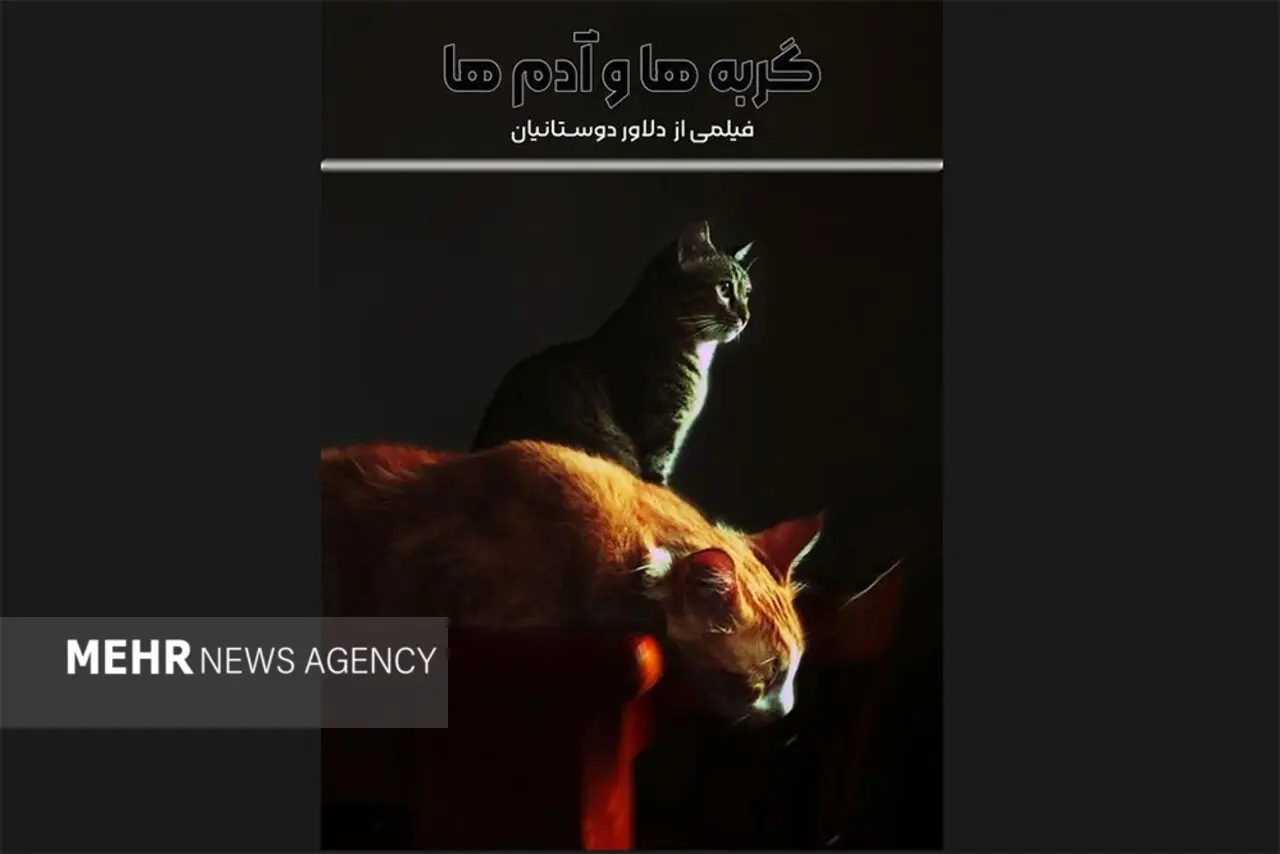 زنی که ۱۵۰ گربه در خانه نگه می‌دارد!/ کندن پوست حیوان برای مزون