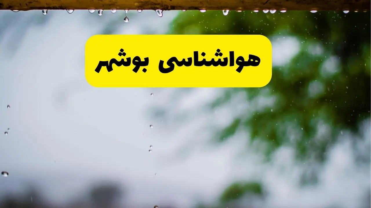 هواشناسی بوشهر