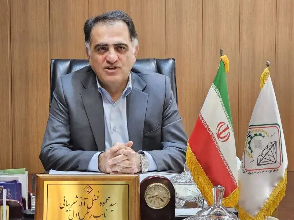سید محمود شربیانی، نایبرئیس اول اتحادیه طلا و جواهر تهران