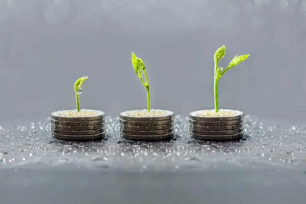 بیمههای پسانداز و سرمایهگذاری