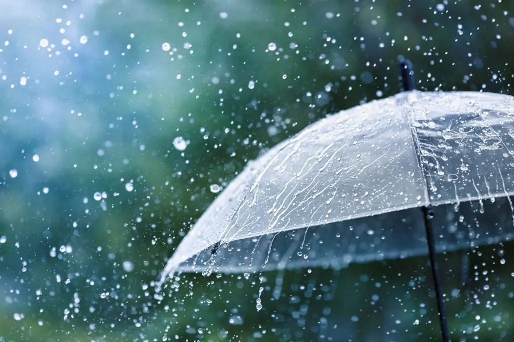 پروفایل چتر و باران2