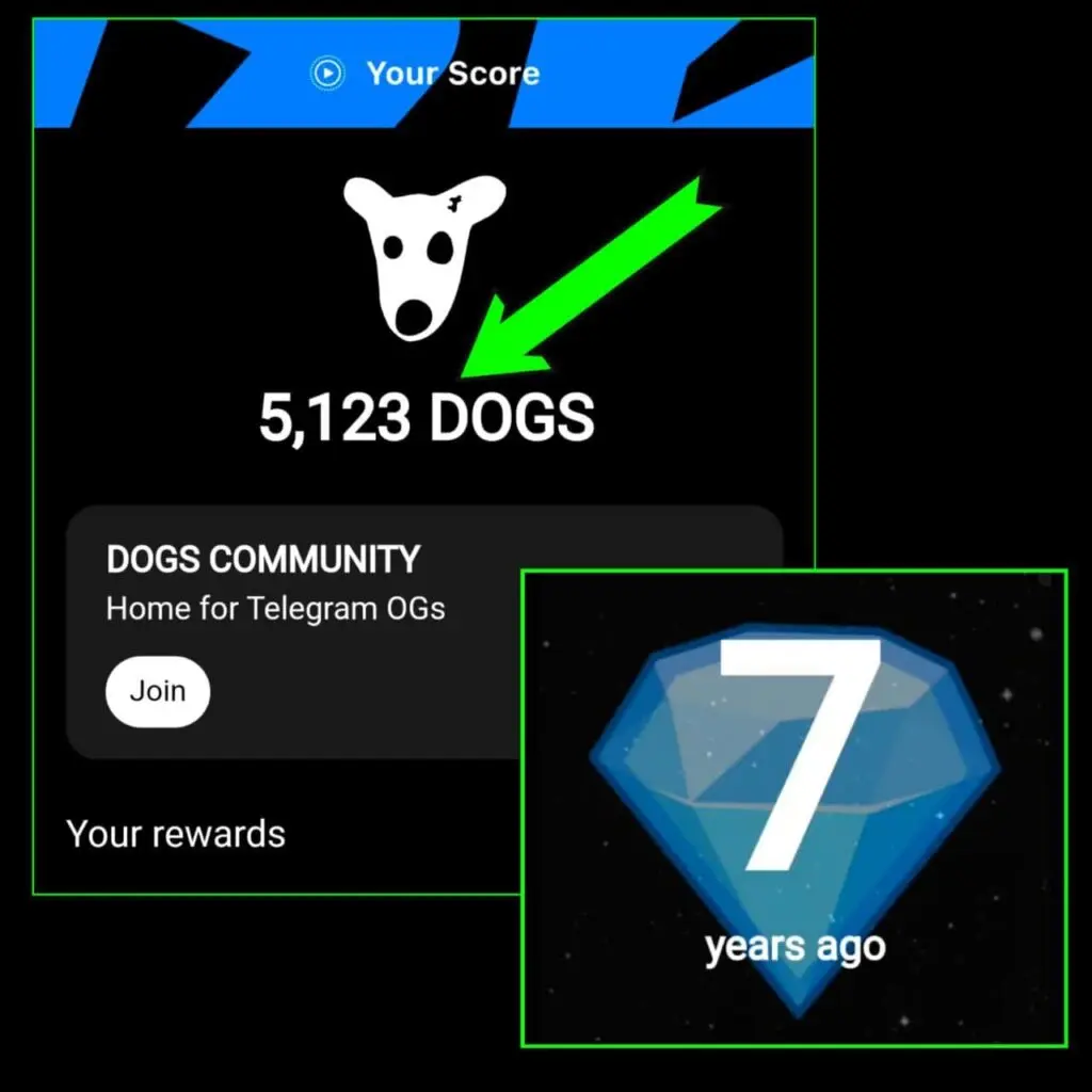 dogs_token_year_telegram-1024x1024