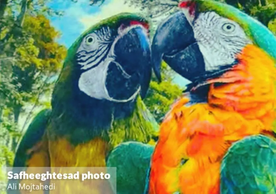 InShot_20260226_160725908