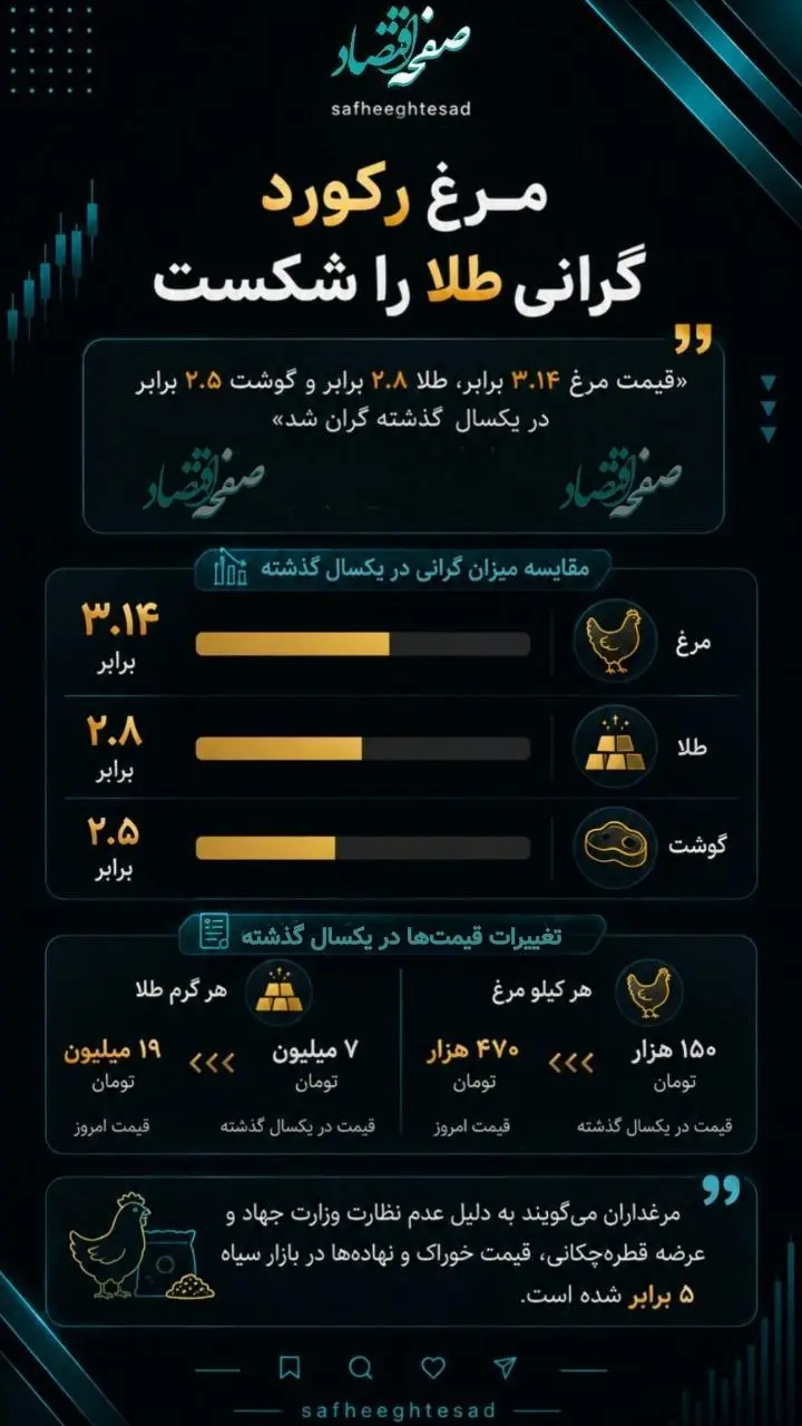 قیمت مرغ