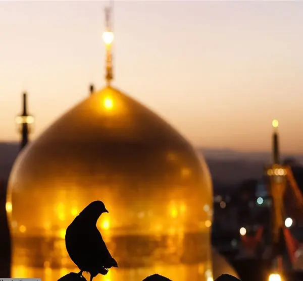 حرم امام رضا 
