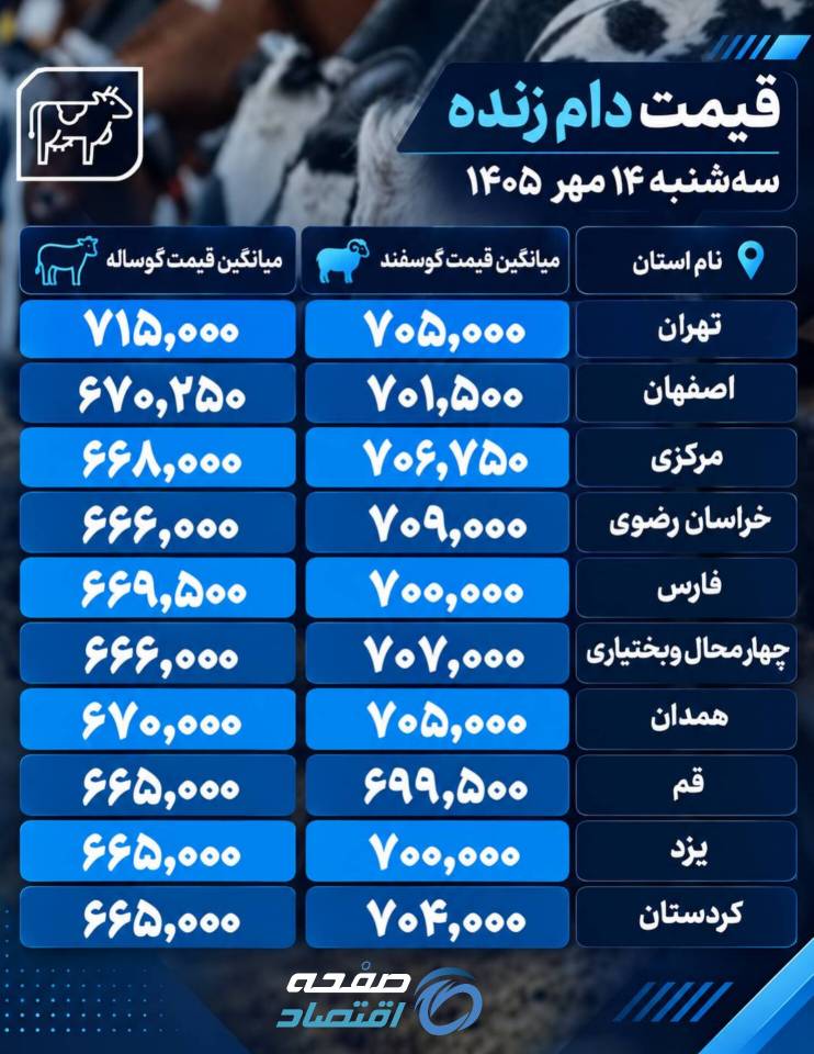 دام