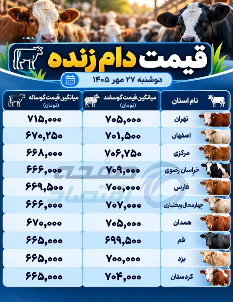 دام