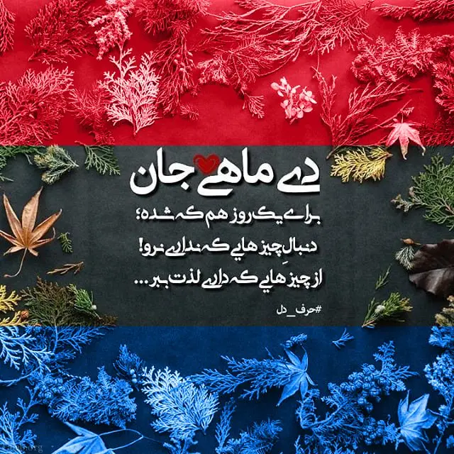 دی ماهی