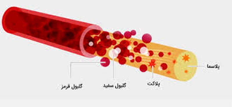 هماتولوژی