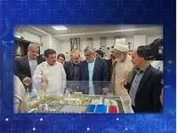 بازدید اعضای کمیسیون انرژی مجلس، معاونین وزیر نفت و دکتر علی عسکری از پتروشیمی هنگام