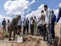 آغاز عملیات توسعه فضای سبز کارخانه فولاد سفیددشت با کاشت 2500 اصله درخت