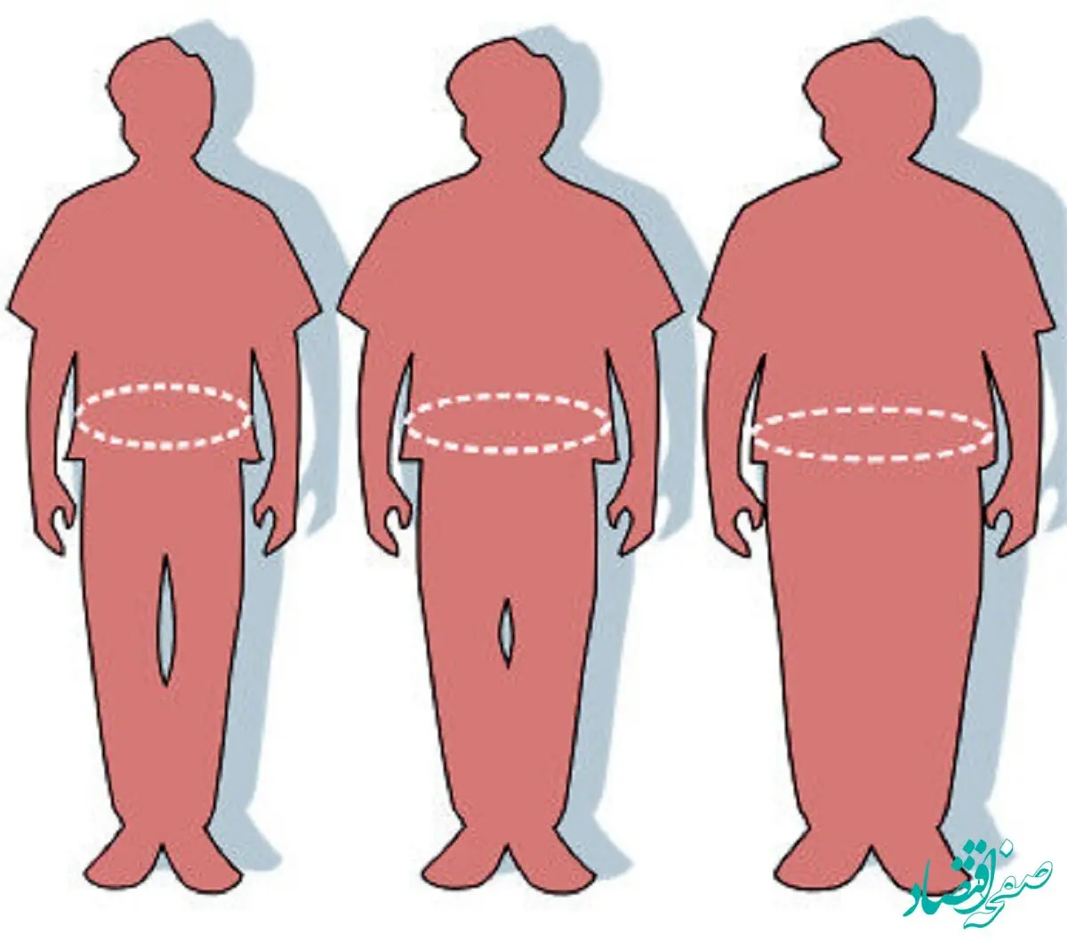 نسبت دور کمر به قد چقدر باید باشد؟ + آموزش روش محاسبه