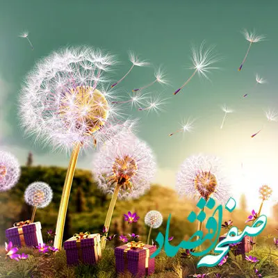  استقبال از یازدهمین جشنواره حساب‌های قرض‌الحسنه پس‌انداز بانک اقتصادنوین