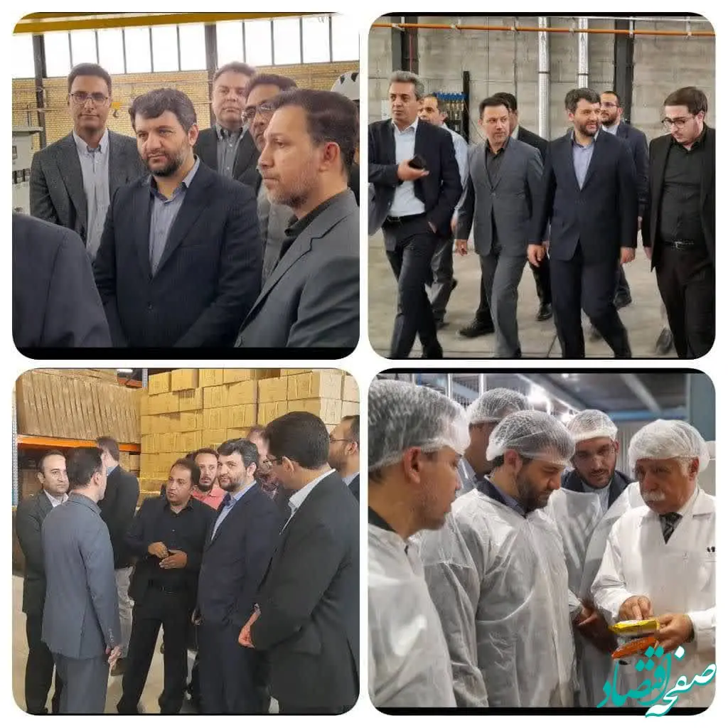  نظارت میدانی نماینده ویژه رییس جمهور از وضعیت تولید در منطقه ویژه اقتصادی گرمسار