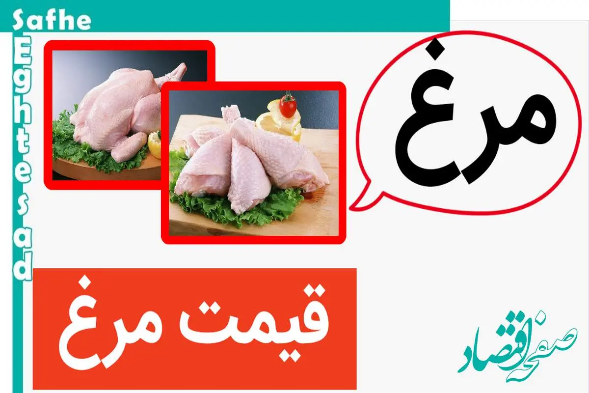 قیمت مرغ امروز سه شنبه ۸ خرداد ماه ۱۴۰۳ / جزییات تغییر قیمت