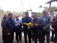 افتتاح گلخانه پرورش گلهای زینتی و آپارتمانی در استان مازندران