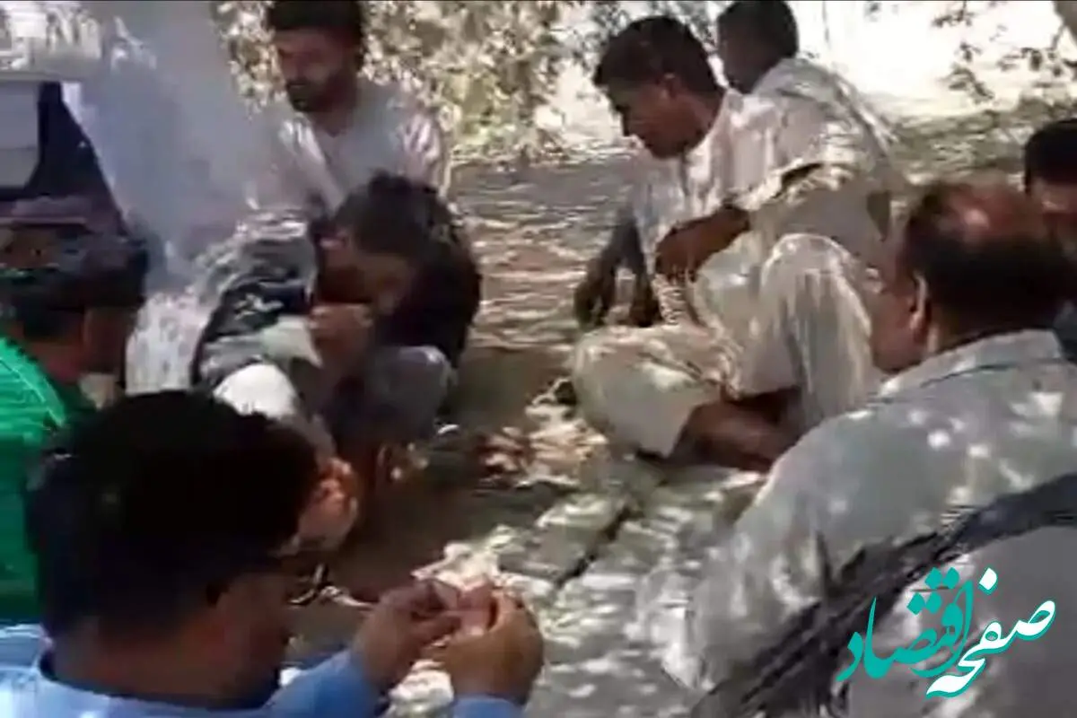 چشم انتظاری کارگران بومی بیکار شده شرکت کشت و صنعت مکران برای بازگشت به کار