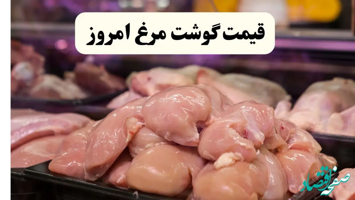 اعلام قیمت گوشت مرغ امروز ۴ خرداد ۱۴۰۴ | امروز فیله مرغ کبابی چند؟