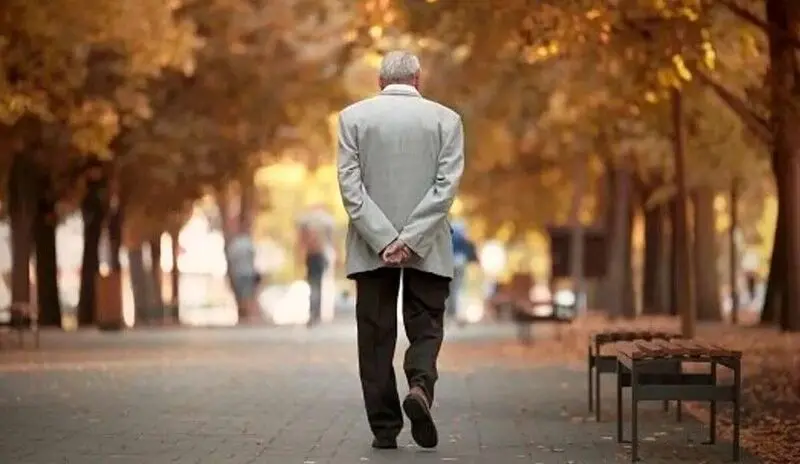 بازنشستگان