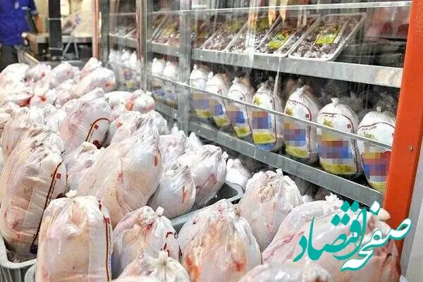 قیمت فیله مرغ | قیمت سینه مرغ | قیمت ران مرغ | قیمت مرغ در بازار امروز چهارشنبه ۷ خرداد ماه ۱۴۰۴