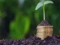 خبر خوش برای کشاورزان!/ دولت حق بیمه محصولات را پرداخت می‌کند