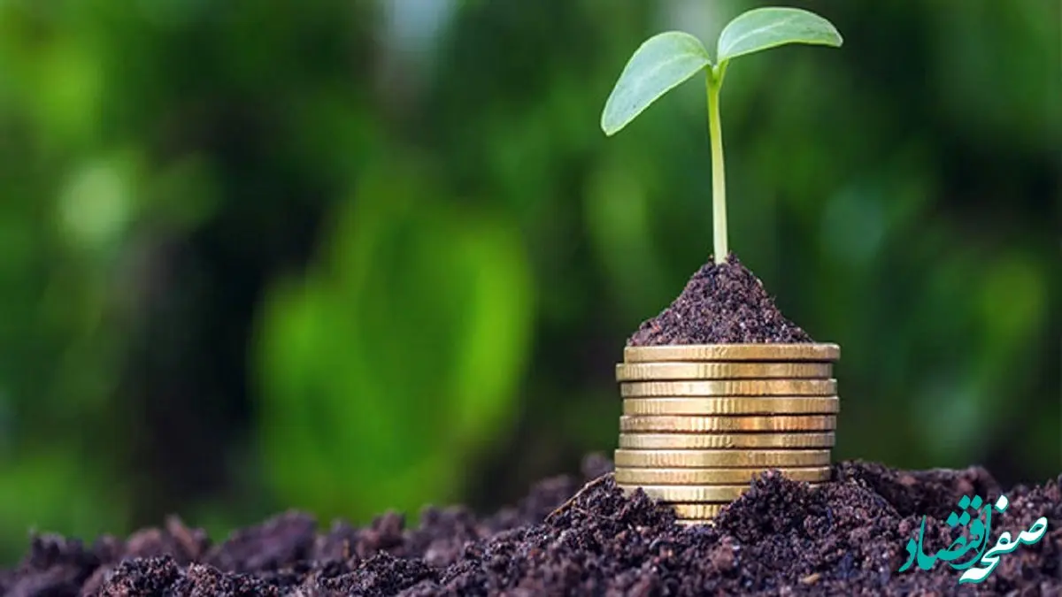 خبر خوش برای کشاورزان!/ دولت حق بیمه محصولات را پرداخت می‌کند