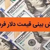 پیش بینی قیمت دلار فردا شنبه ۶ بهمن ۱۴۰۳ / شنبه دلار حسابی پرواز می کند؟ 