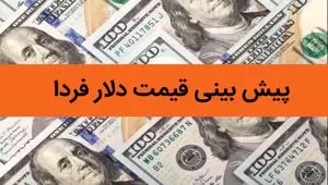 پیش بینی قیمت دلار فردا شنبه ۶ بهمن ۱۴۰۳ / شنبه دلار حسابی پرواز می کند؟ 