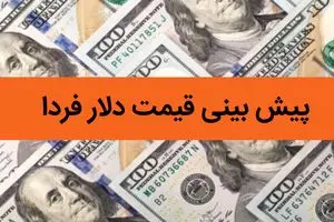 پیش بینی قیمت دلار فردا شنبه ۶ بهمن ۱۴۰۳ / شنبه دلار حسابی پرواز می کند؟ 