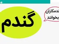 آخرین خبر از قیمت خرید تضمینی گندم امروز دوشنبه ۱۹ شهریور ۱۴۰۳ | هر کیلوگرم گندم ۲۰ هزار و ۵۰۰ تومان شد