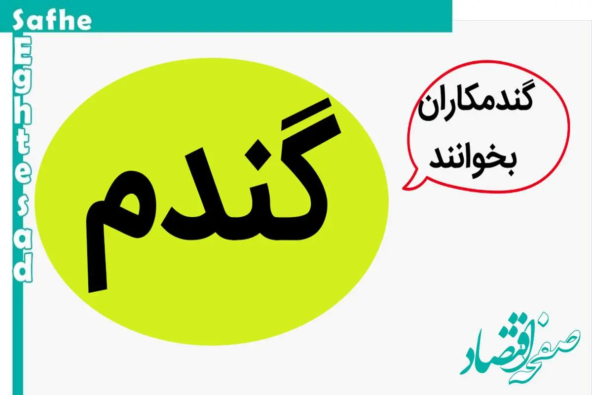 آخرین خبر از قیمت خرید تضمینی گندم امروز دوشنبه ۱۹ شهریور ۱۴۰۳ | هر کیلوگرم گندم ۲۰ هزار و ۵۰۰ تومان شد