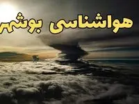 اخبار هواشناسی بوشهر فردا سه شنبه ۲۱ اسفند | پیش بینی وضعیت آب و هوا بوشهر فردا ۲۱ اسفند ماه ۱۴۰۳ 