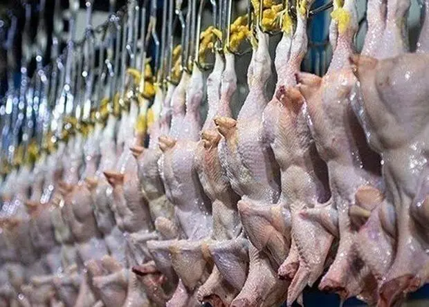 جدول قیمت مرغ امروز پنجشنبه ۱۷ اردیبهشت ماه ۱۴۰۵