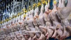 جدول قیمت مرغ امروز پنجشنبه ۱۷ اردیبهشت ماه ۱۴۰۵