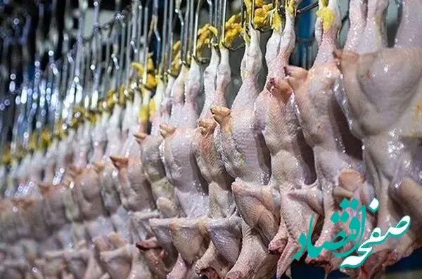 جدول قیمت مرغ امروز پنجشنبه ۱۷ اردیبهشت ماه ۱۴۰۵