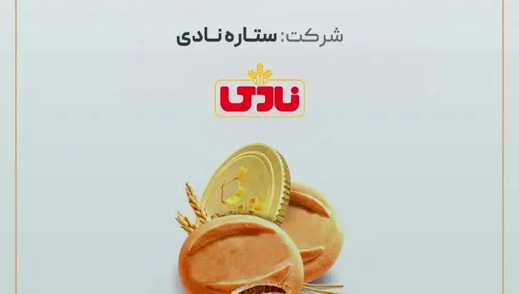 آغاز پویش تامین مالی جمعی شرکت «ستاره نادی»