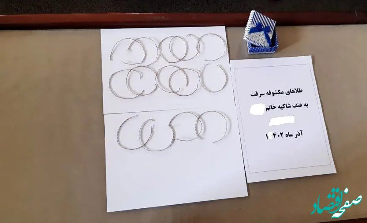 زورگیران وارد خانه زن تنها شدند و طلاهایش را سرقت کردند + جزئیات 