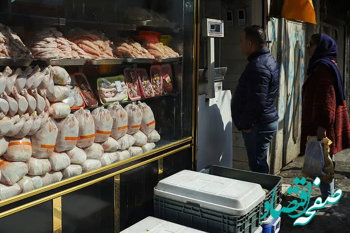 توزیع ۱۰۰ تن مرغ منجمد آغاز شد