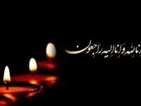 این نماینده مجلس به عزا نشست 