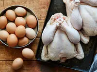 قیمت مرغ و تخم مرغ تا پایان سال تغییر نخواهد کرد